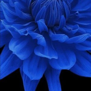 Meet your Posher, Kamaria